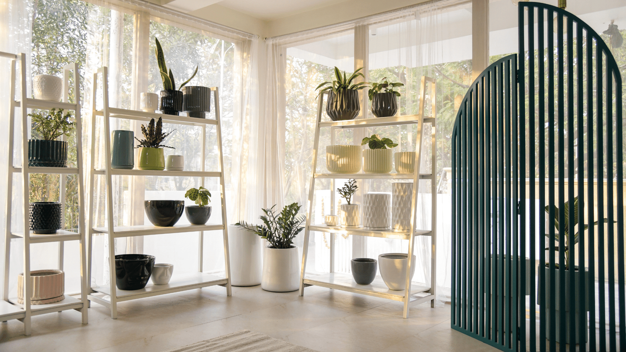 5 Ceramic Planters to spruce up your Home Decor