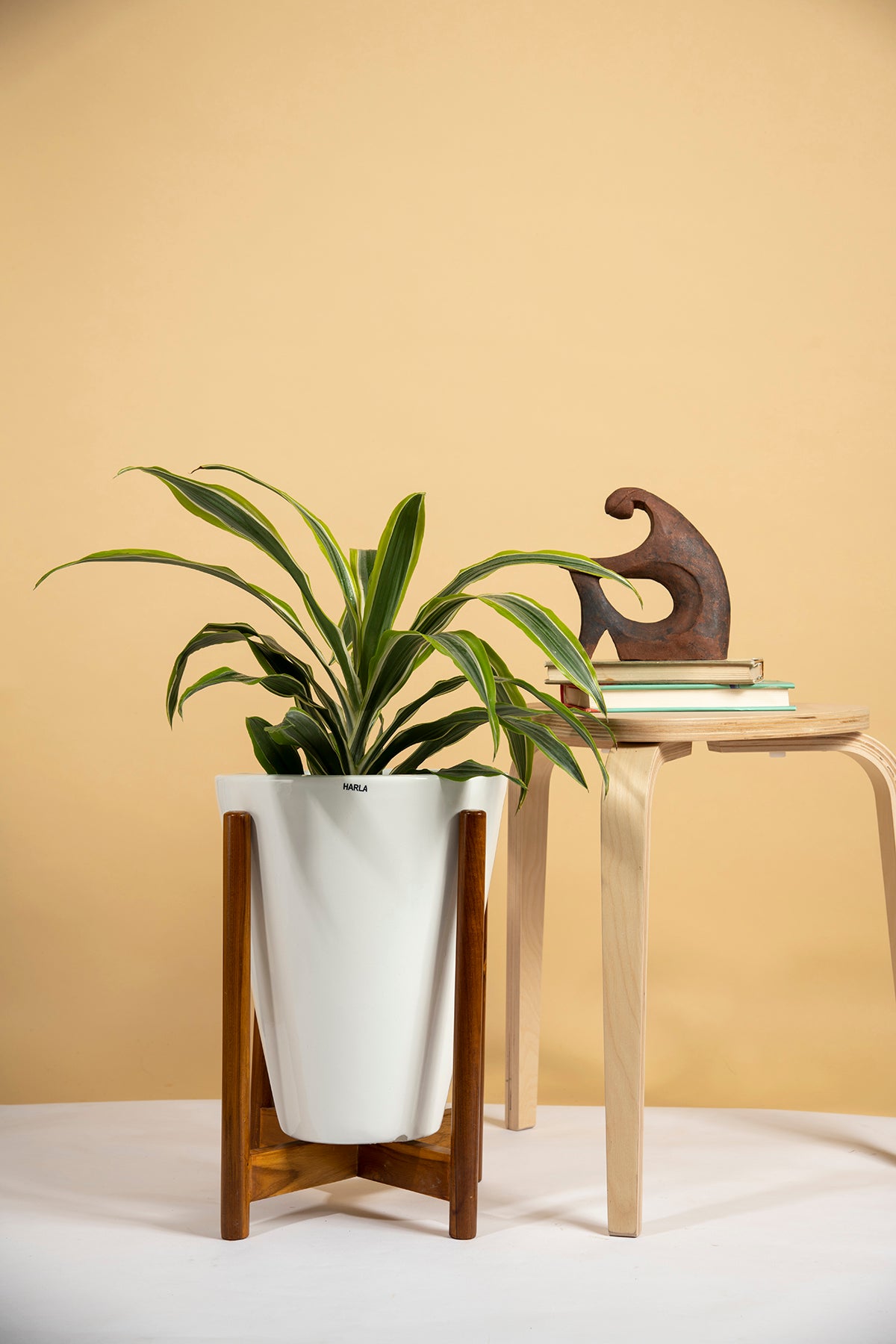 Large Size Love Bite ceramic planter with wooden stand in white color with spider plant in it.