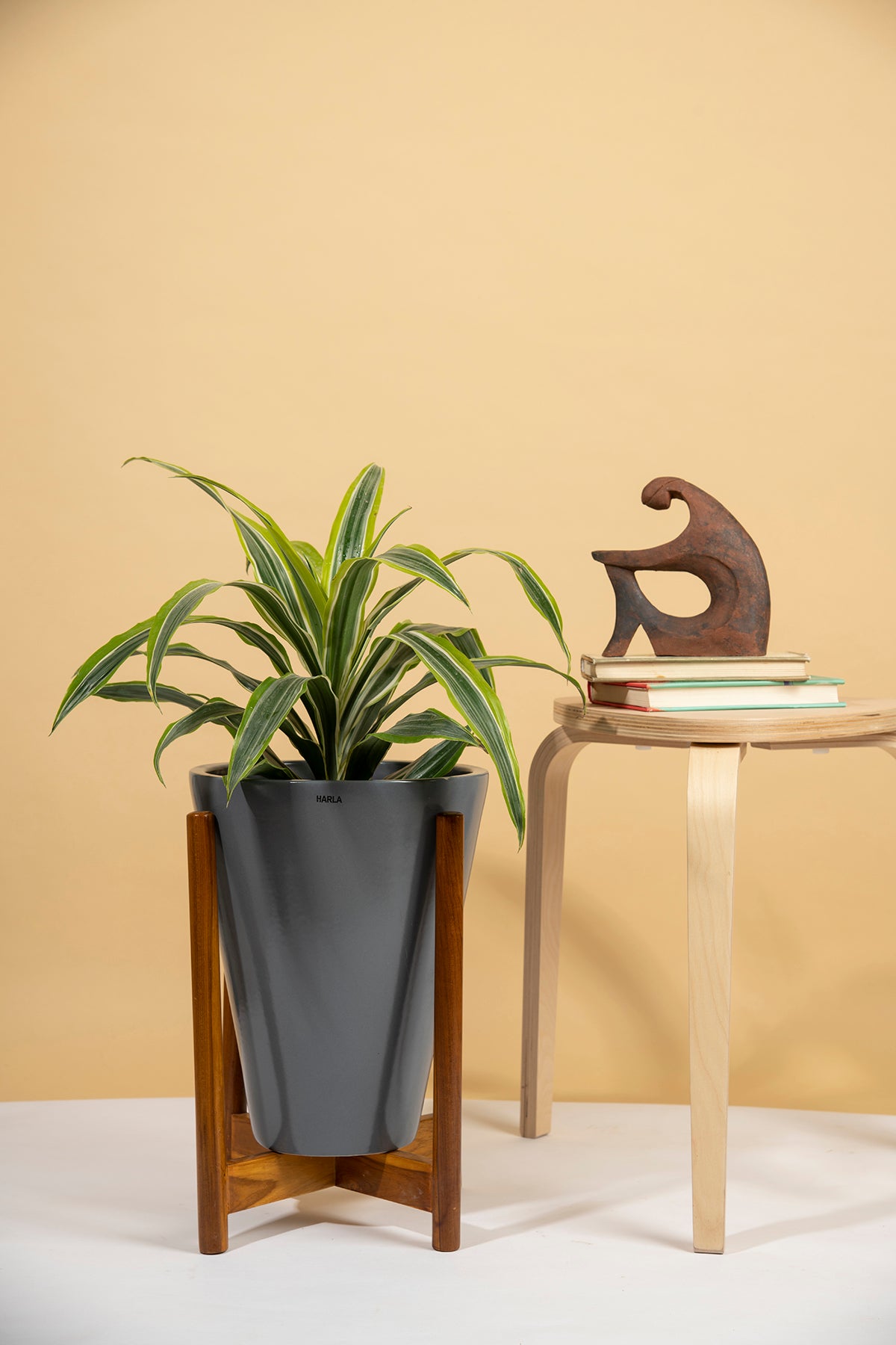 Large Size Love Bite ceramic planter with wooden stand in Grey color with spider plant in it.