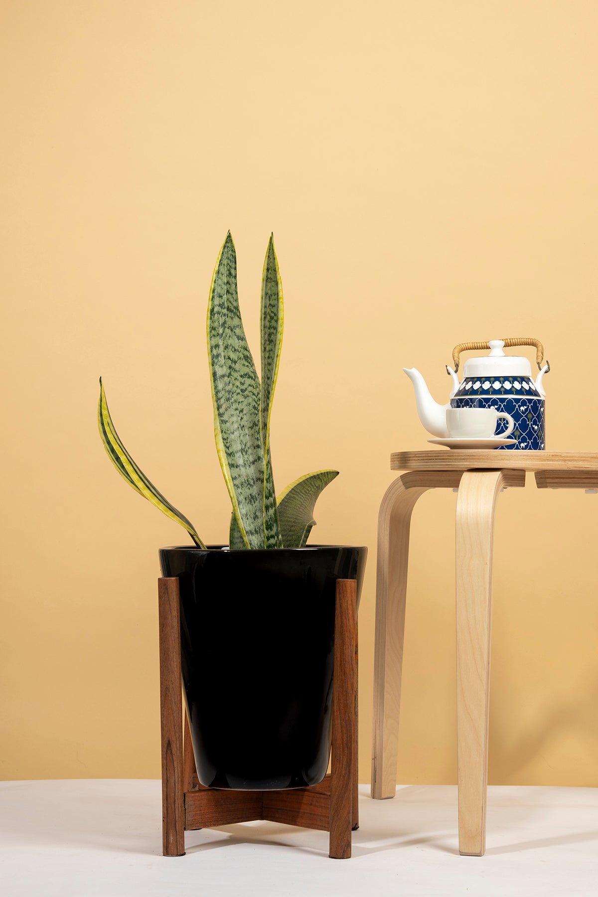 Medium Size Love Bite ceramic planter with wooden stand in Black color with snake plant in it.
