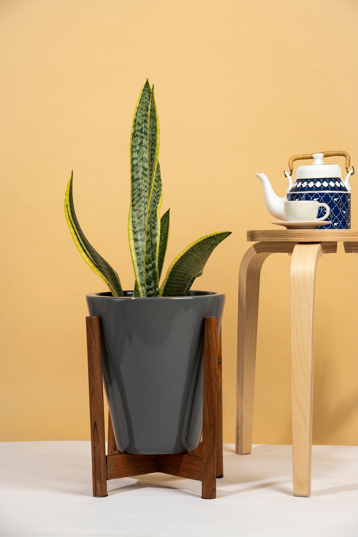 Medium Size Love Bite ceramic planter with wooden stand in Grey color with snake plant in it.