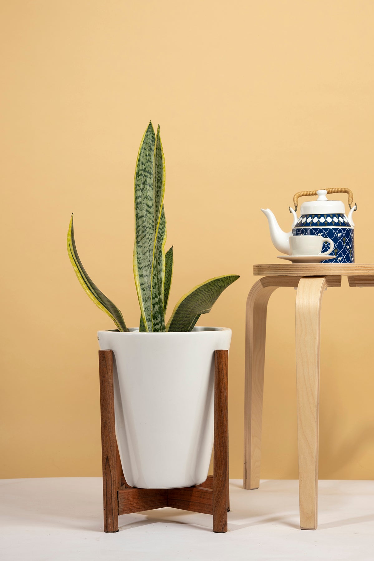 Medium Size Love Bite ceramic planter with wooden stand in white color with snake plant in it.