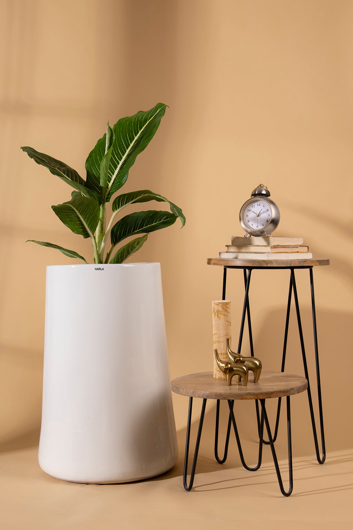 Tall size Misplaced Metaphor Ceramic Planter in White color with Dieffenbachia  plant