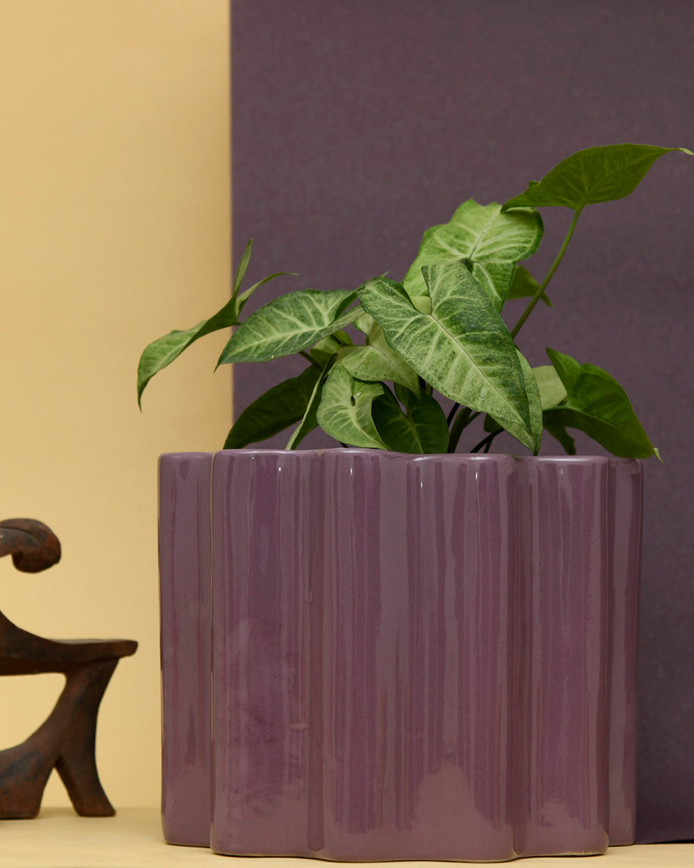 Medium size Balmy Waves Ceramic Planter in Blackberry color with Syngonium Plant.