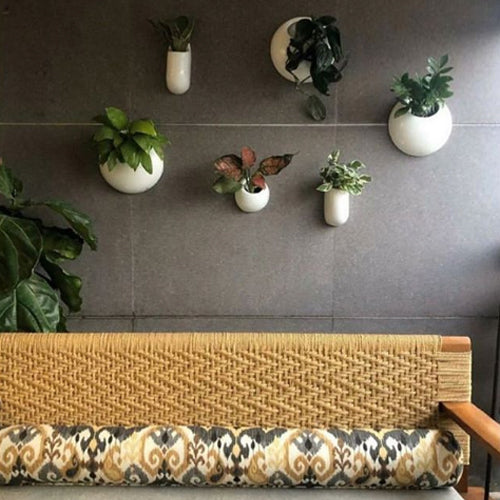 Family of Hanging Solitaires ceramic wall mountain planters in white color with plants Nailed to the wall .