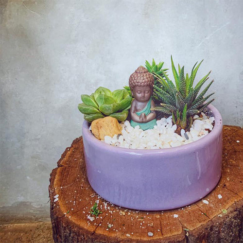 Miniature setup in Flat size Lilac Stories ceramic planter in Lilac color.