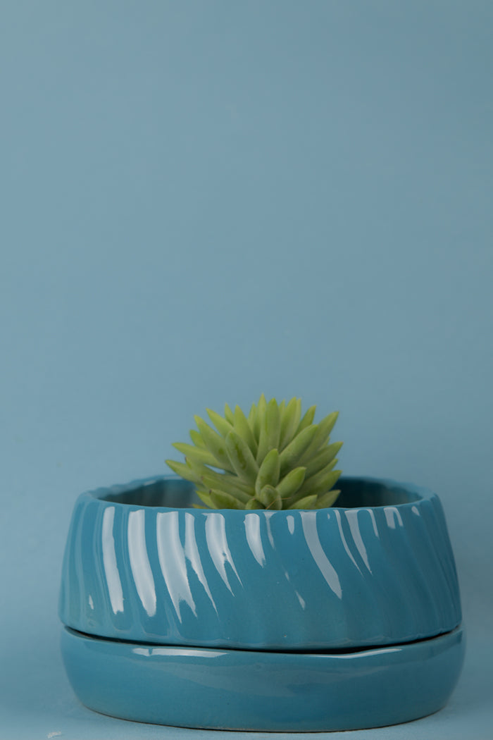 Flat size Fallen Angels ceramic planter in Turquiose color with succulent plant.