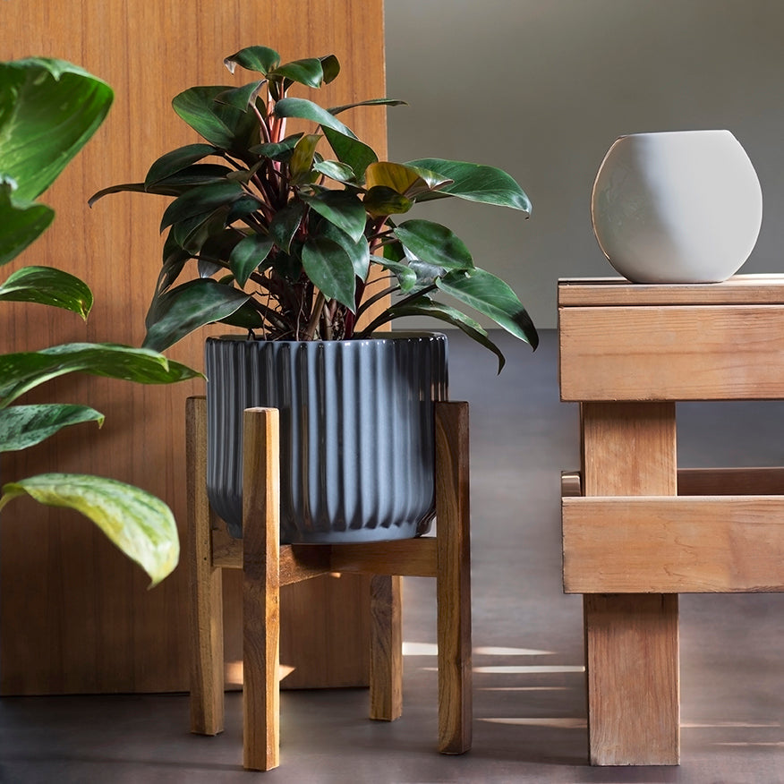 plant pot on wooden stand Modern Fluted Planter with Wooden Stand (Multiple Sizes)