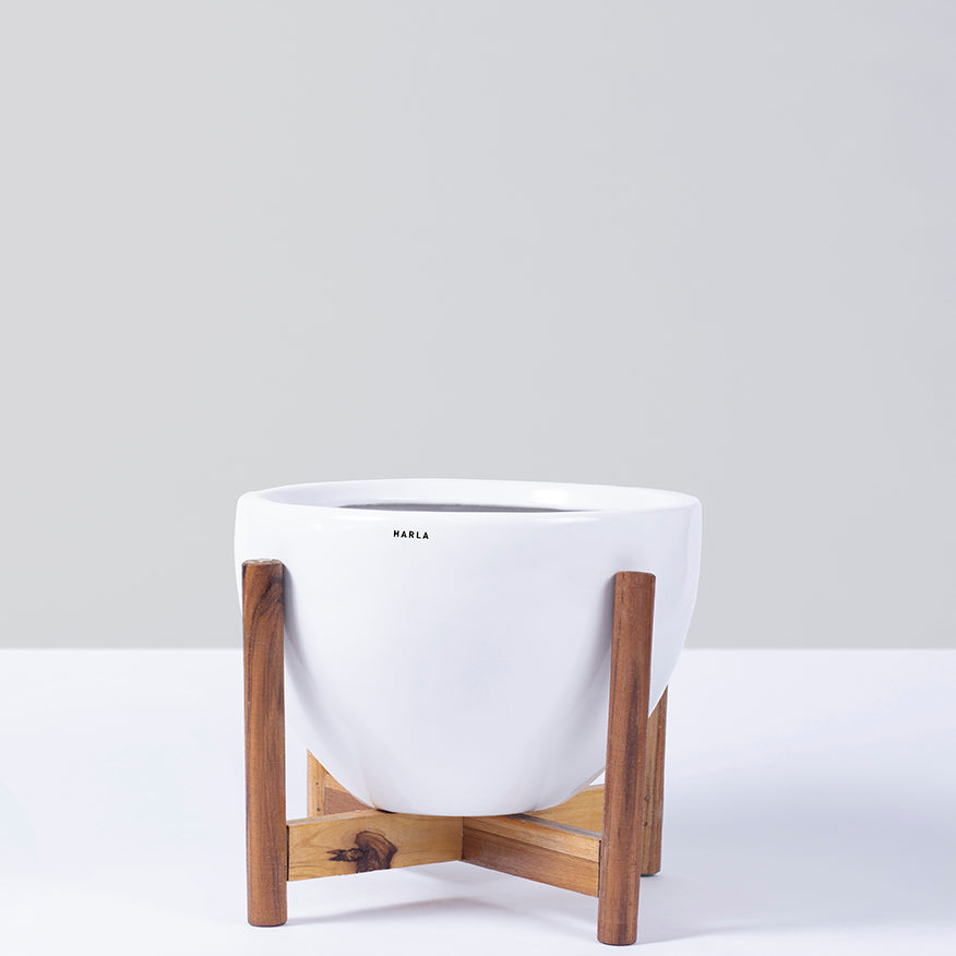 Large size Echoing Eternity-Fat Ceramic planter inn white color with wooden stand.
