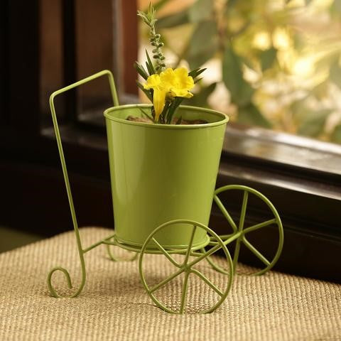hanging leaves plant 6