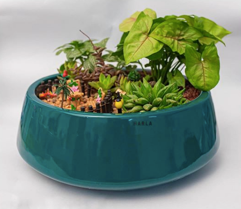 Bonsai Planters