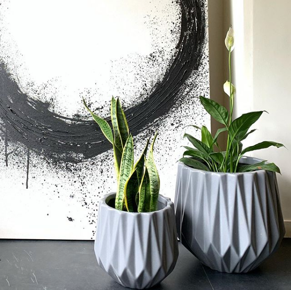 Medium and Large Planters