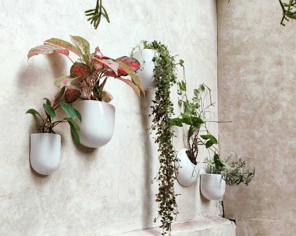 VALIEM+A-PLANTS POT M〗A-PLANTS 5周年記念植木鉢 VALIEM+A-PLANTS