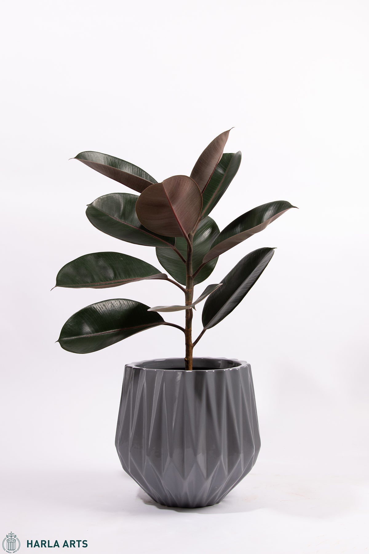 Tabla-Inspired Planter (Medium & Large) | Harla Arts