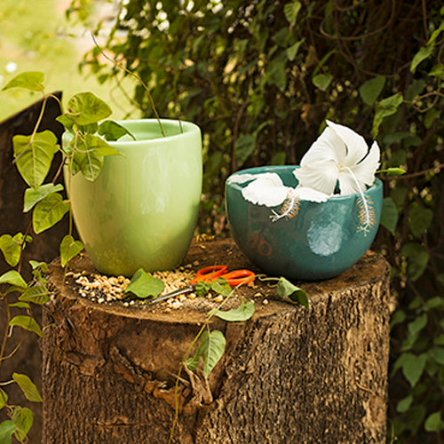  Extra small slim size Nature's Hum ceramic planter in Light Green color and Extra small fat size Nature's Hum ceramic planter in Dark Green color.